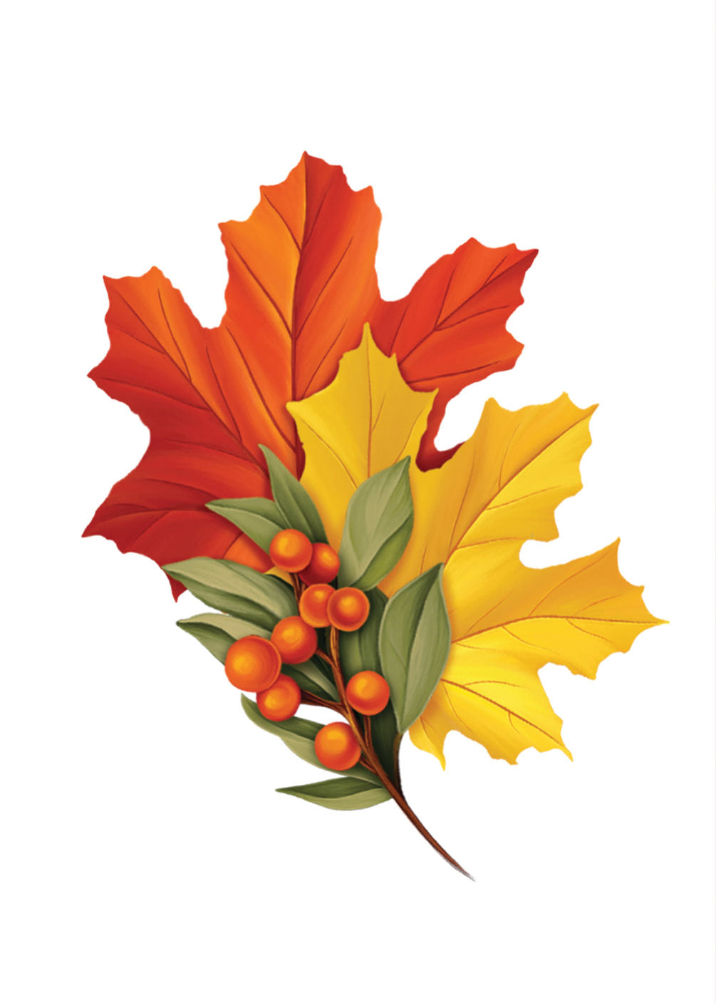 A cluster of autumn leaves and berries on a white background, featuring red and orange maple leaves, a yellow leaf, green leaves, and small orange berries.