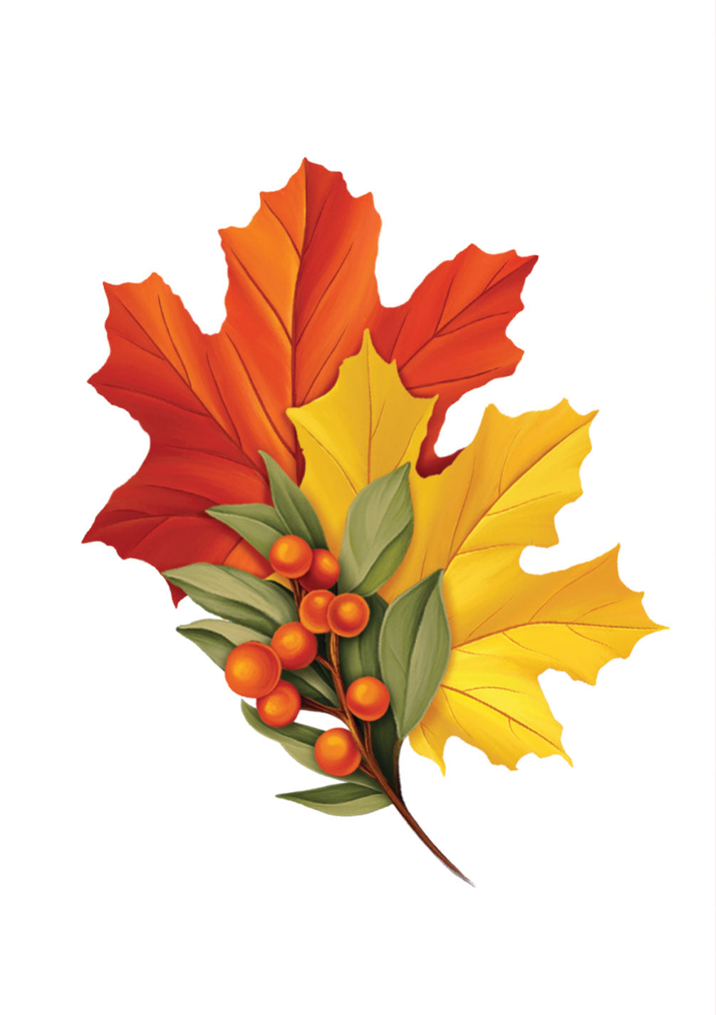 A cluster of autumn leaves and berries on a white background, featuring red and orange maple leaves, a yellow leaf, green leaves, and small orange berries.