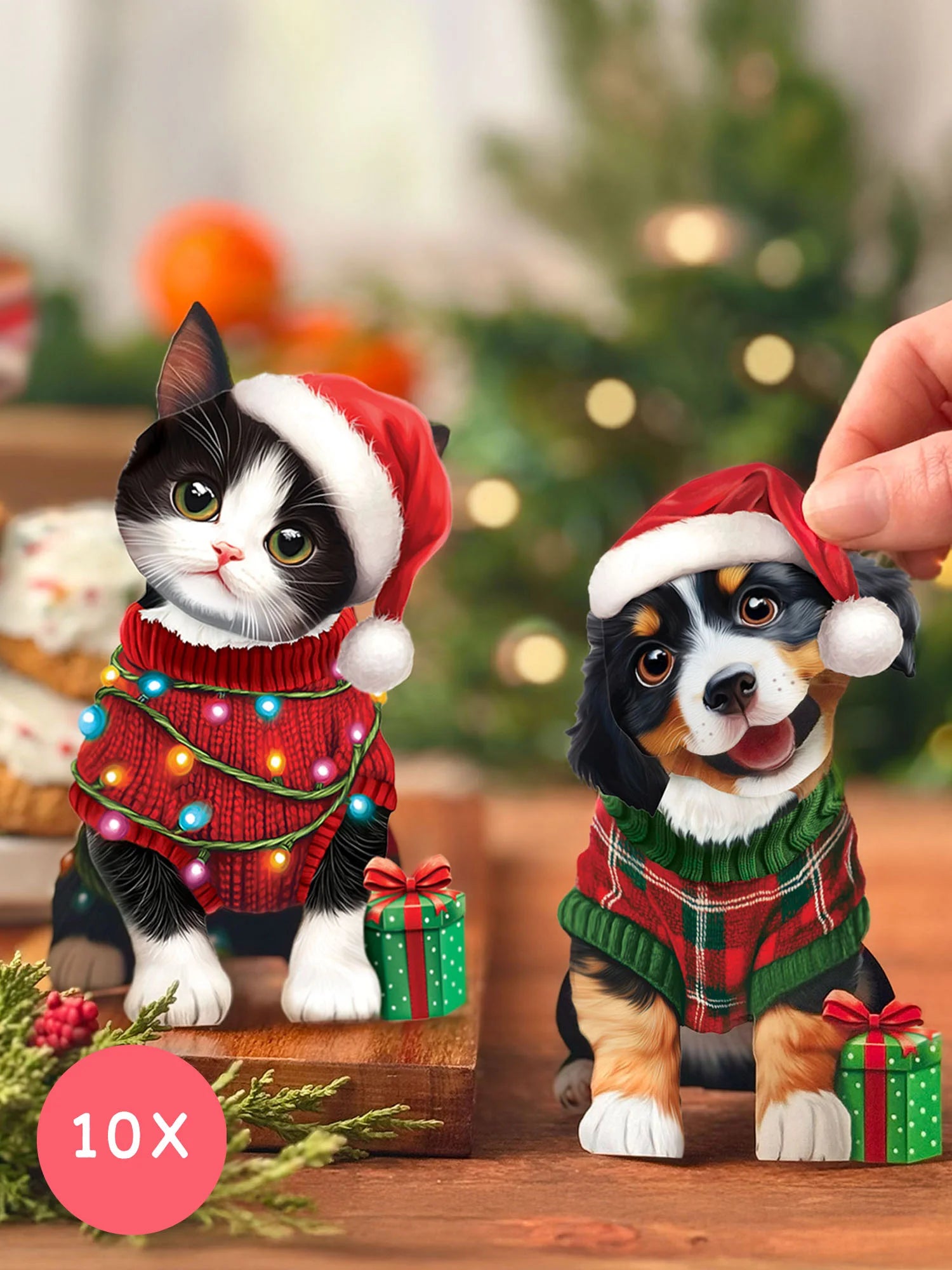 Tiny Paws Christmas Set