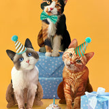 Complete Cat Collection