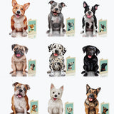 Best In Show Collection