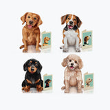 Best In Show Collection