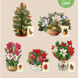 Classic Winter Wonder Bundle