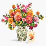 Dahlia Sunrise