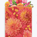 Grande Dahlia Sunrise