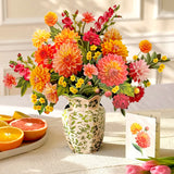 Dahlia Sunrise