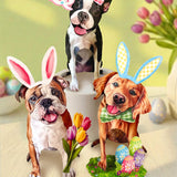 Easter Pop-Up Pet Accessories