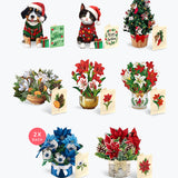 Festive Minis Set