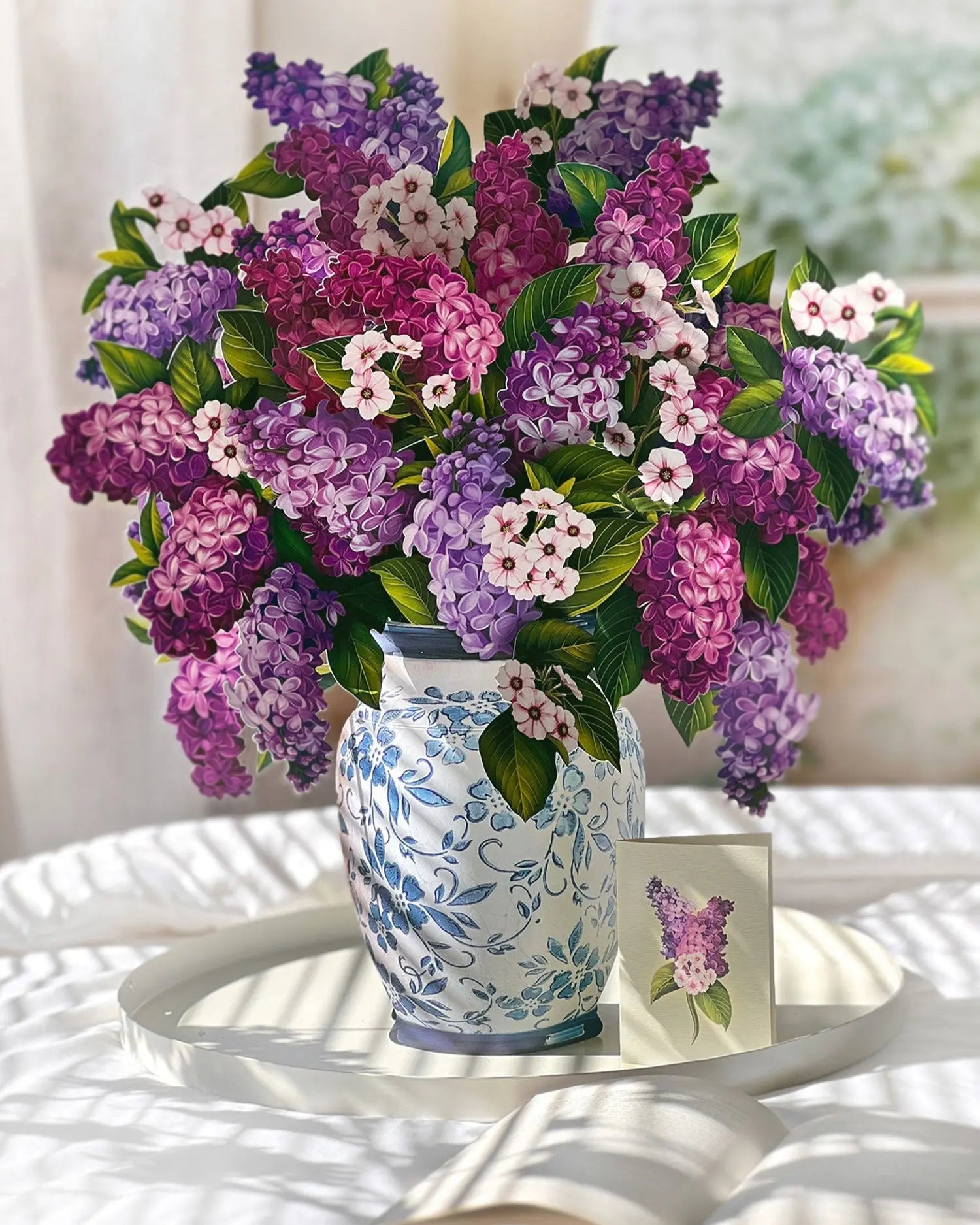 Grande Garden Lilacs