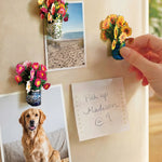 A hand is placing a colorful flower magnet on a beige refrigerator, alongside other magnets holding photos of a dog and a beach, and a sticky note that reads 'Pick up Madison @ 9'.