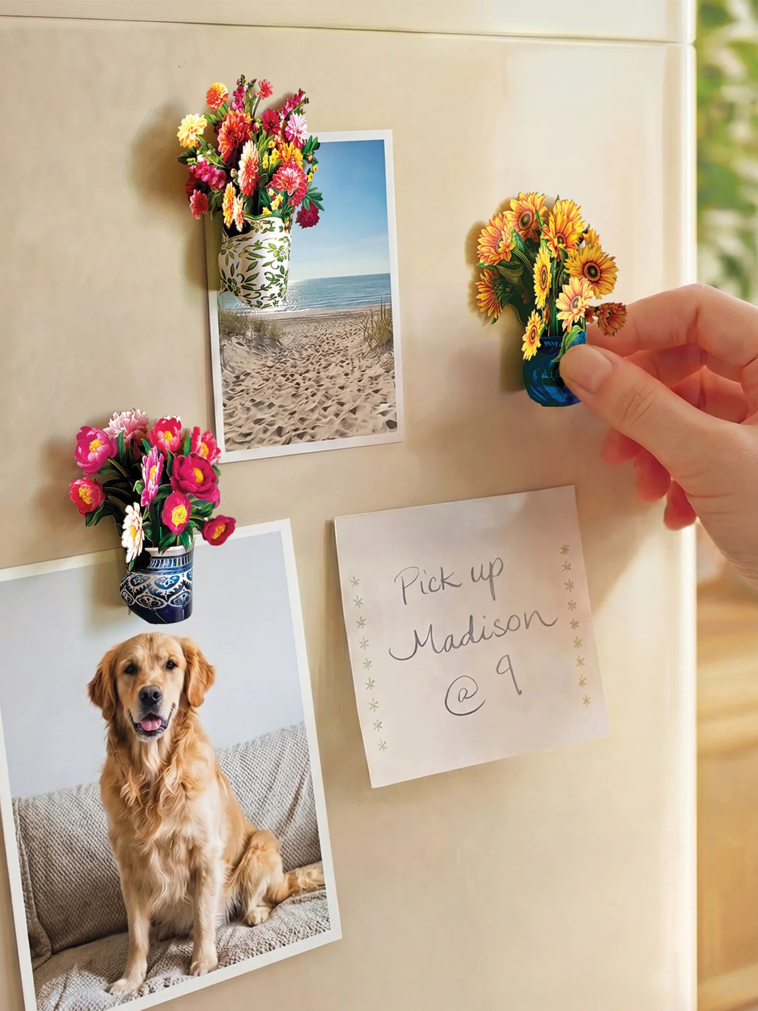 A hand is placing a colorful flower magnet on a beige refrigerator, alongside other magnets holding photos of a dog and a beach, and a sticky note that reads 'Pick up Madison @ 9'.
