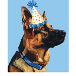 Birthday German Shepherd Card Freshcut Paper