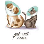 Get Well Soon with Cones Card - FreshCut Paper