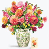 Grande Dahlia Sunrise