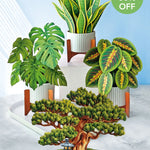 Classic Houseplants Bundle FreshCut Paper