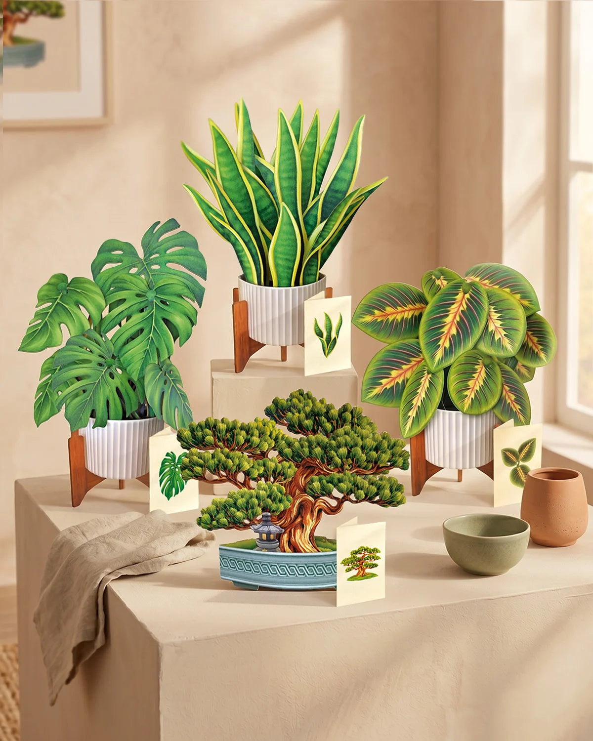 Classic Houseplants Bundle