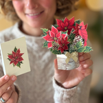 Mini Birch Poinsettia with Model and Notecard