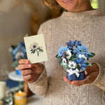 Mini Blue Poinsettia