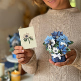 Mini Blue Poinsettia