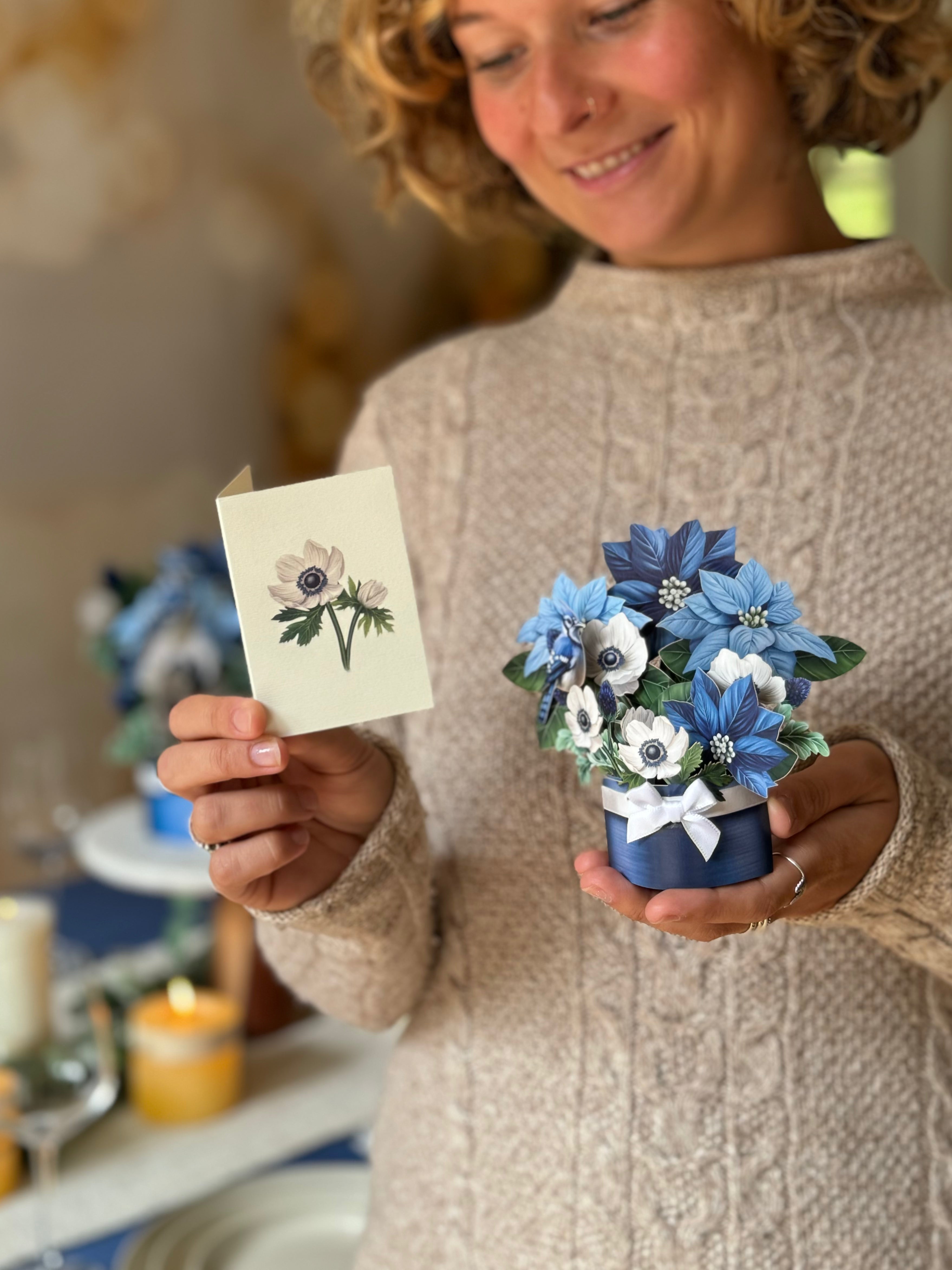 Mini Blue Poinsettia