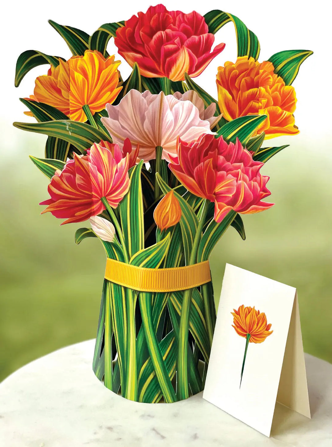 Murillo Tulips