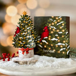 Mini Merry Tree with Holiday Box