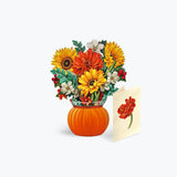 Mini Pumpkin Harvest