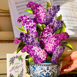 Mother's Day Garden Lilacs