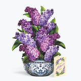 Mother's Day Garden Lilacs