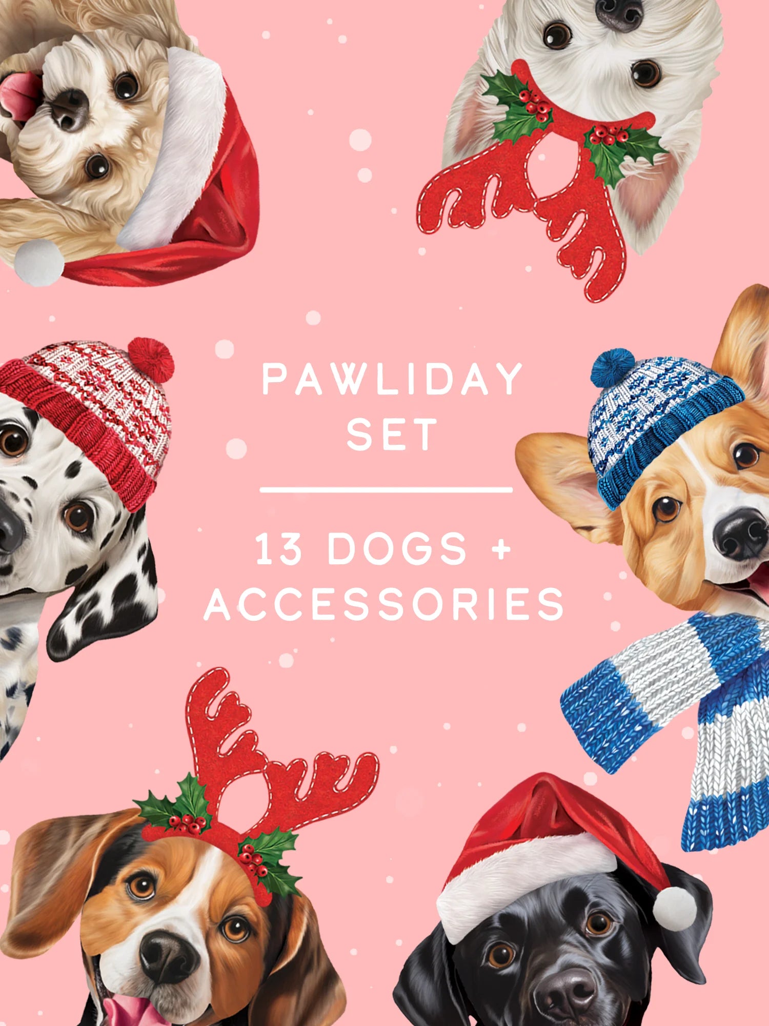 Pawliday Set