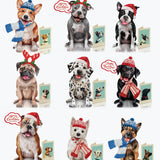 Pawliday Set