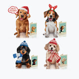 Pawliday Set