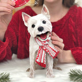 Pawliday Set