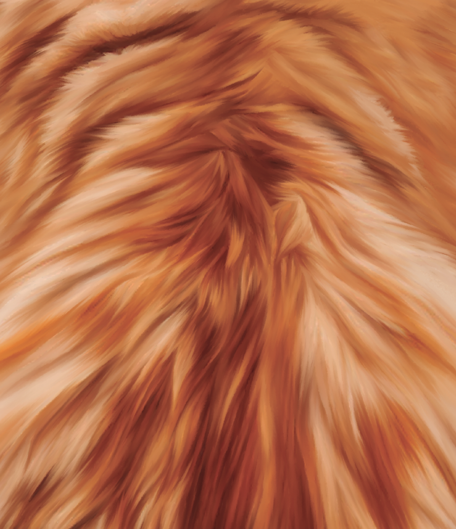 a close up of a fur
