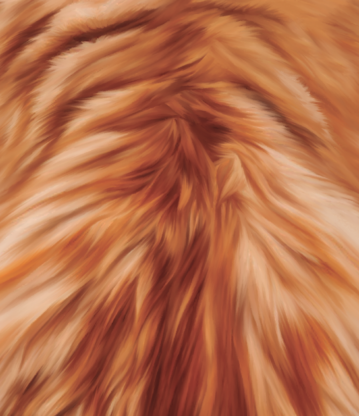 a close up of a fur