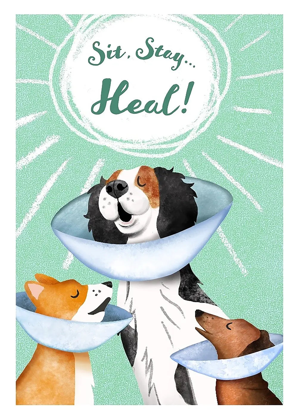 Sit Stay Heal Card - FreshCut Paper