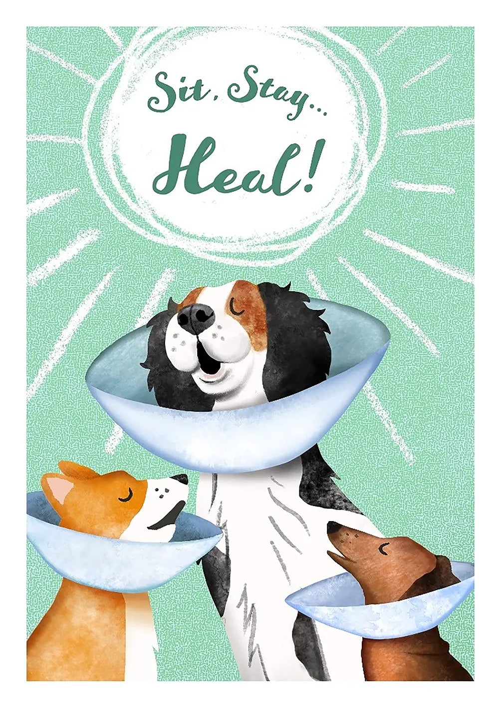 Sit Stay Heal Card - FreshCut Paper