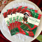Tiny Paws Christmas Set