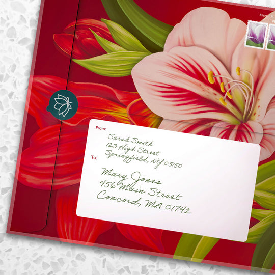 FreshCut Paper Black Friday Bundle Save 60