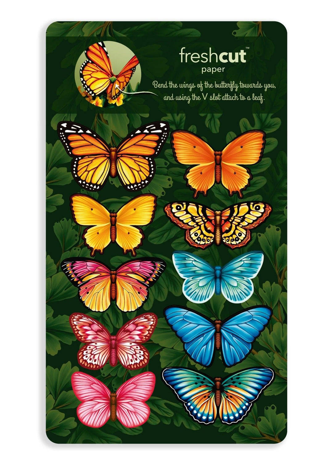Butterflies and Buttercups - FreshCut Paper