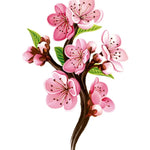 Cherry Blossom Card - FreshCut Paper