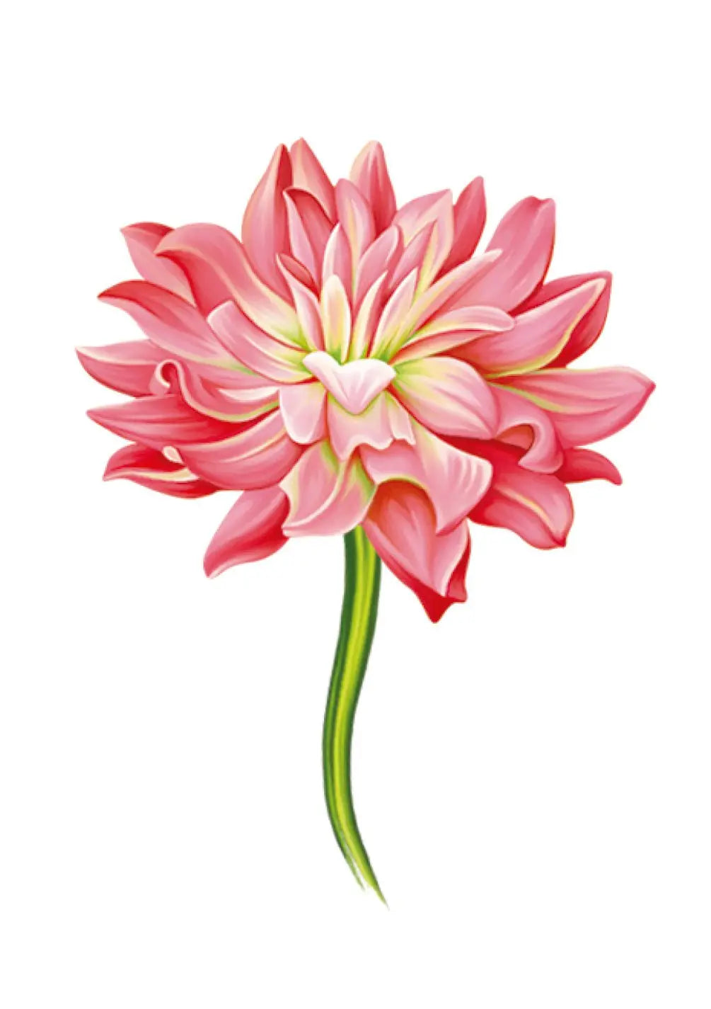 Dahlia Card - FreshCut Paper