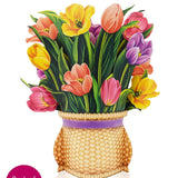 Festive Tulips