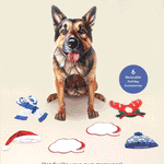 Holiday German Shepherd Pop-Up Card FreshCut Paper