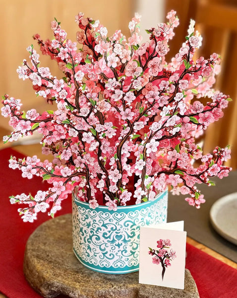 「PAPER BLOSSOMS」 花のポップアップ本 豪華版 お花のポップアップ（Paper Blossoms） | Ray Marshall,Ray