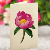 Grande Peony Paradise