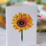 Harvest Wreath - FreshCut Paper