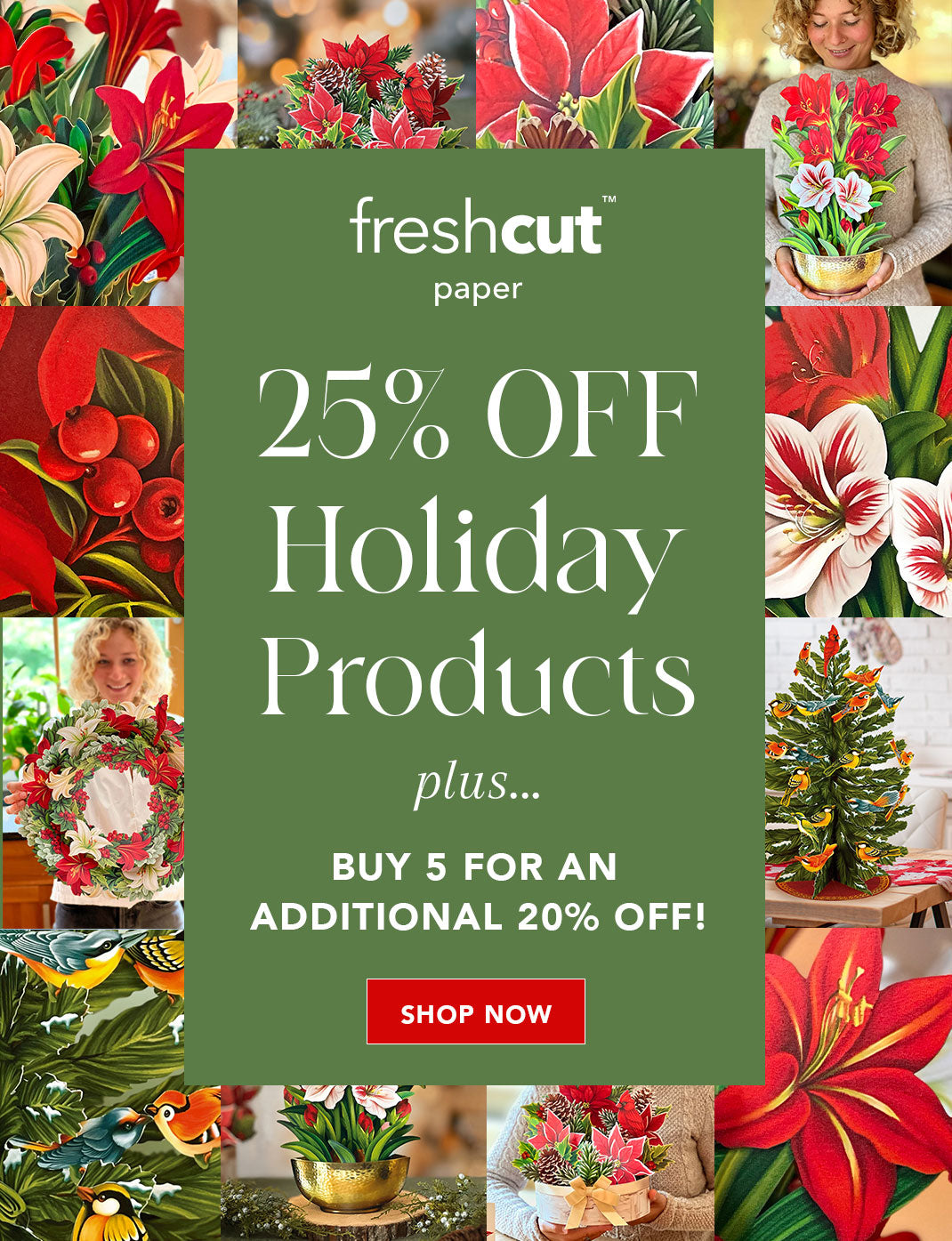 FreshCut Paper LLC - Market Floor Display includes 6 Long Market