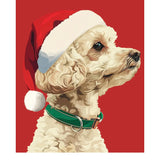 Holiday Poodle Card - FreshCut Paper