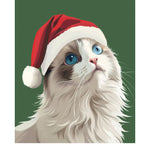 Holiday Ragdoll Cat Card - FreshCut Paper